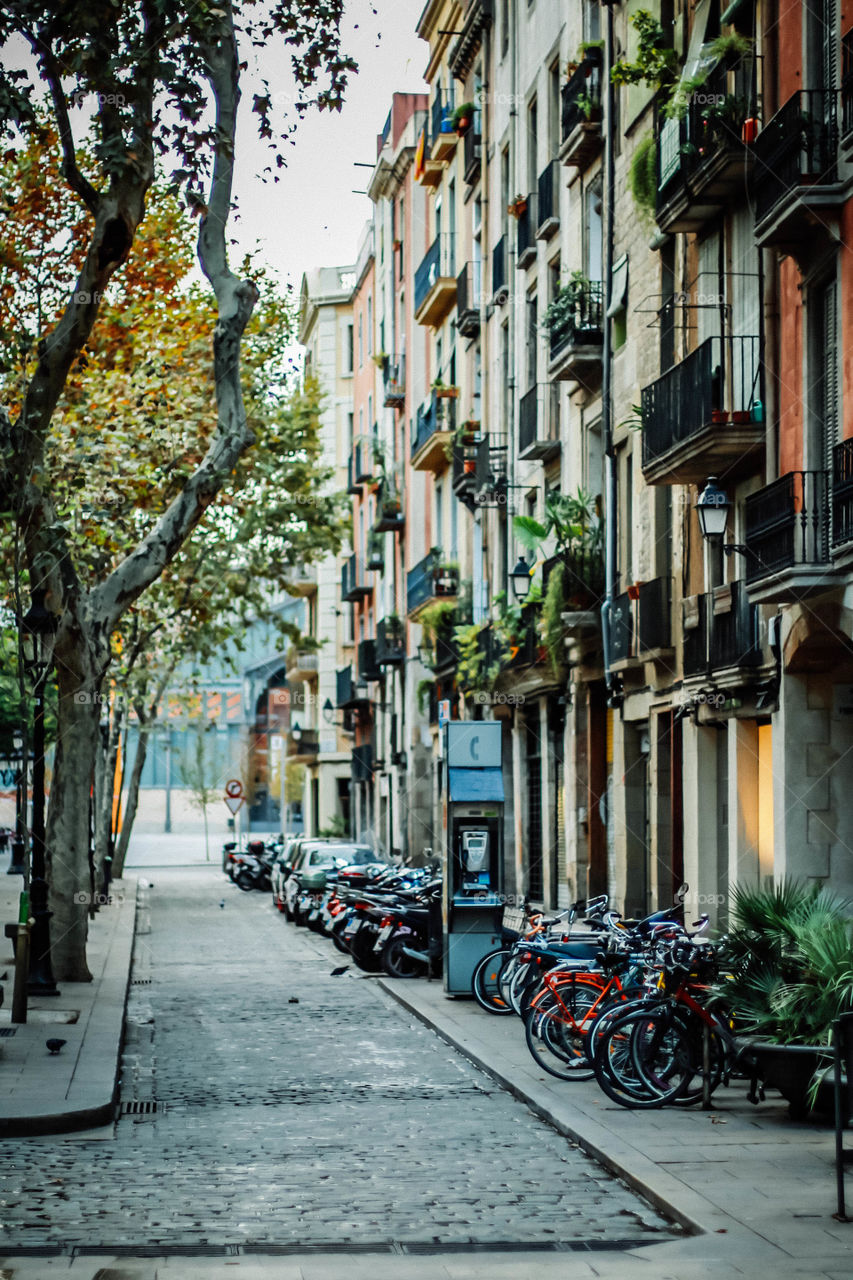 Streets of Barca