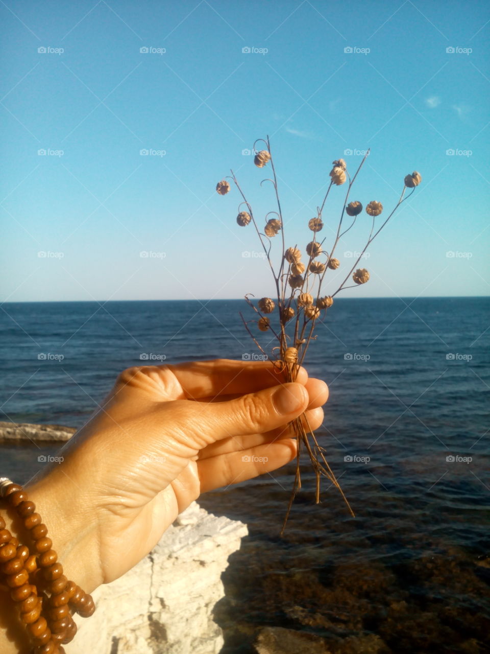 People, Beach, Sea, Water, Ocean