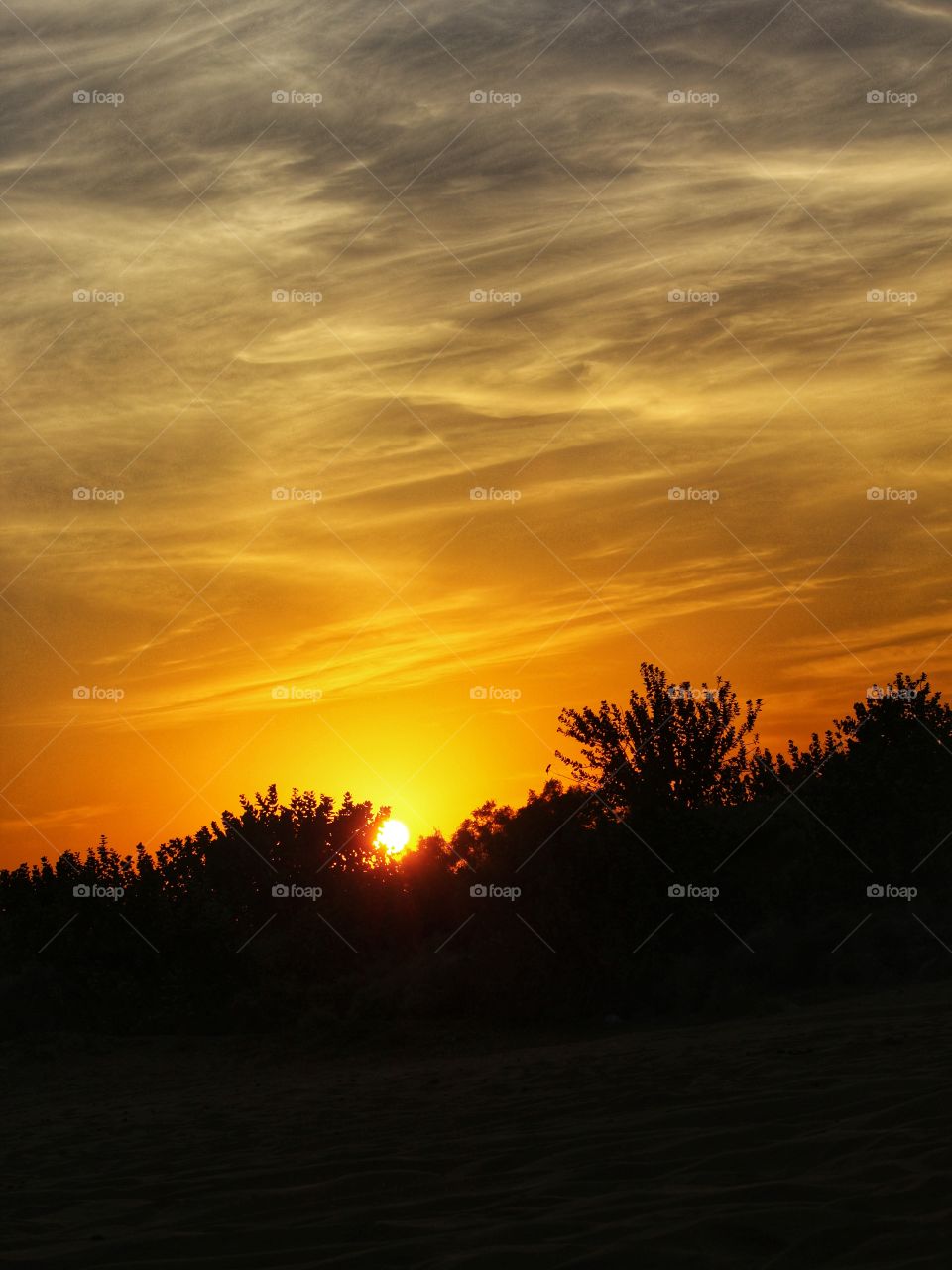 Sunset with cloudy sky