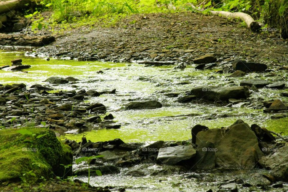 natural flowing stream