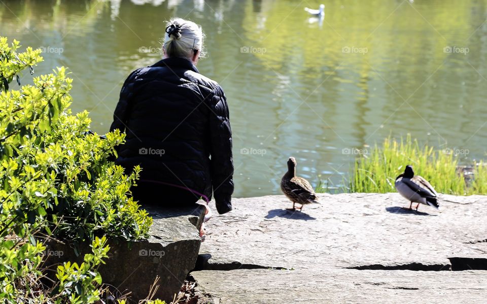 People enjoying spring . Woman feeding birds 