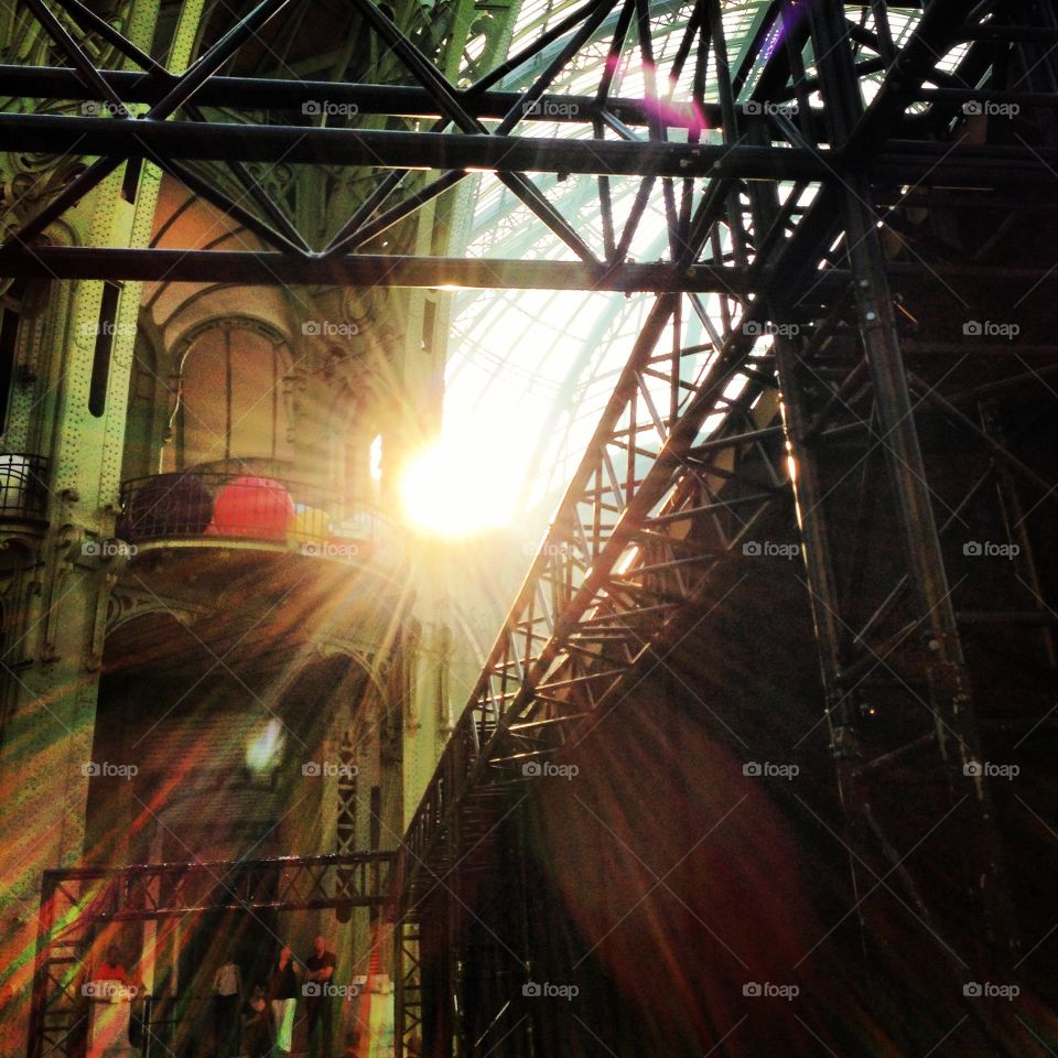 Sunlight. Grand Palais Paris