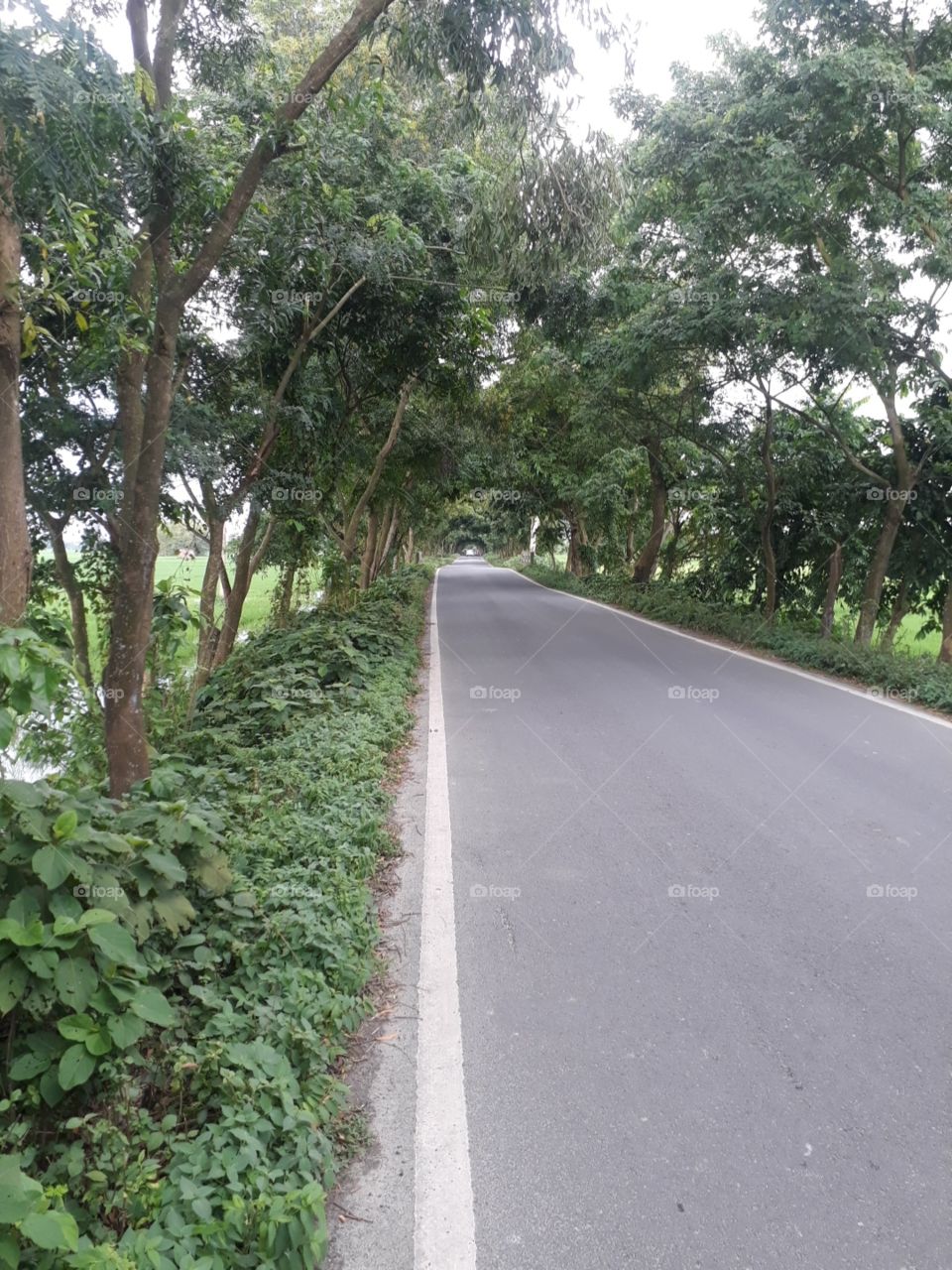 nice road in India in village
