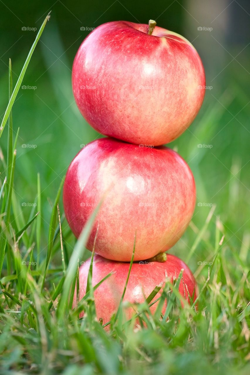 Arrangement of apples