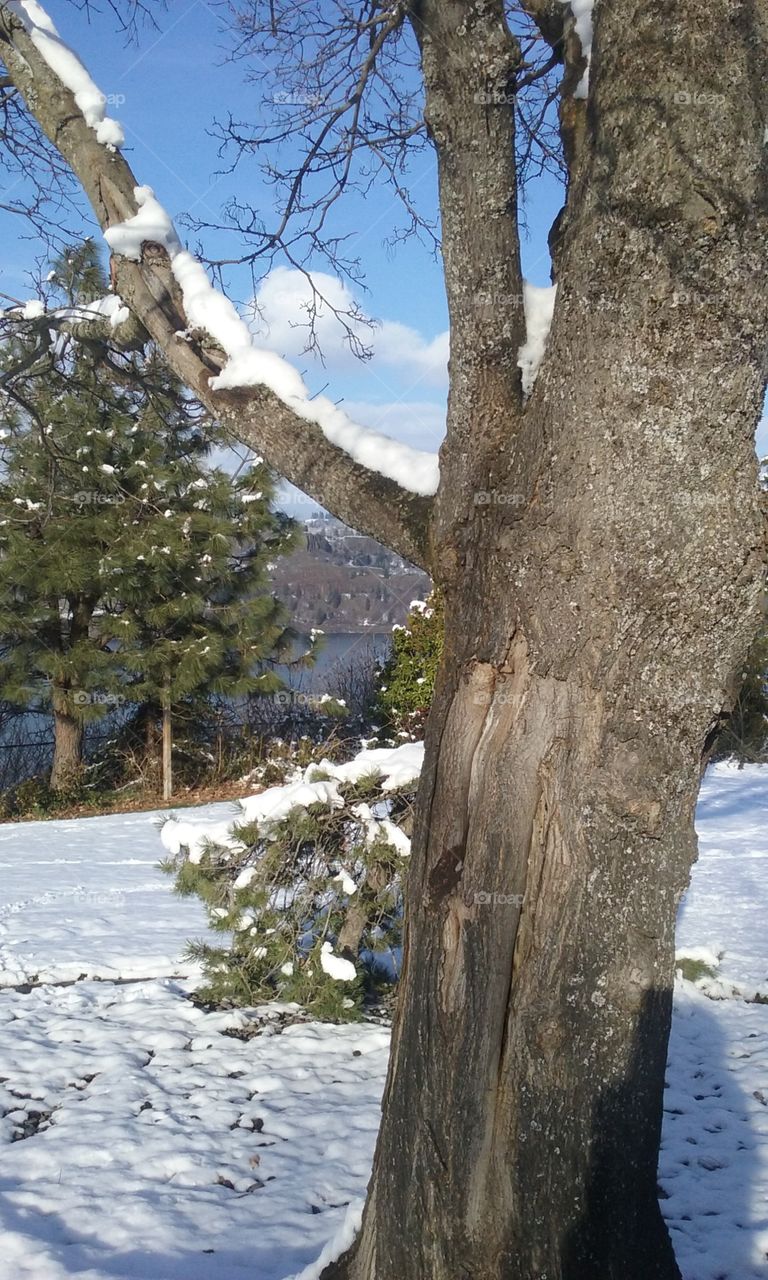 Beautiful Landscape on a Peaceful Winters day.