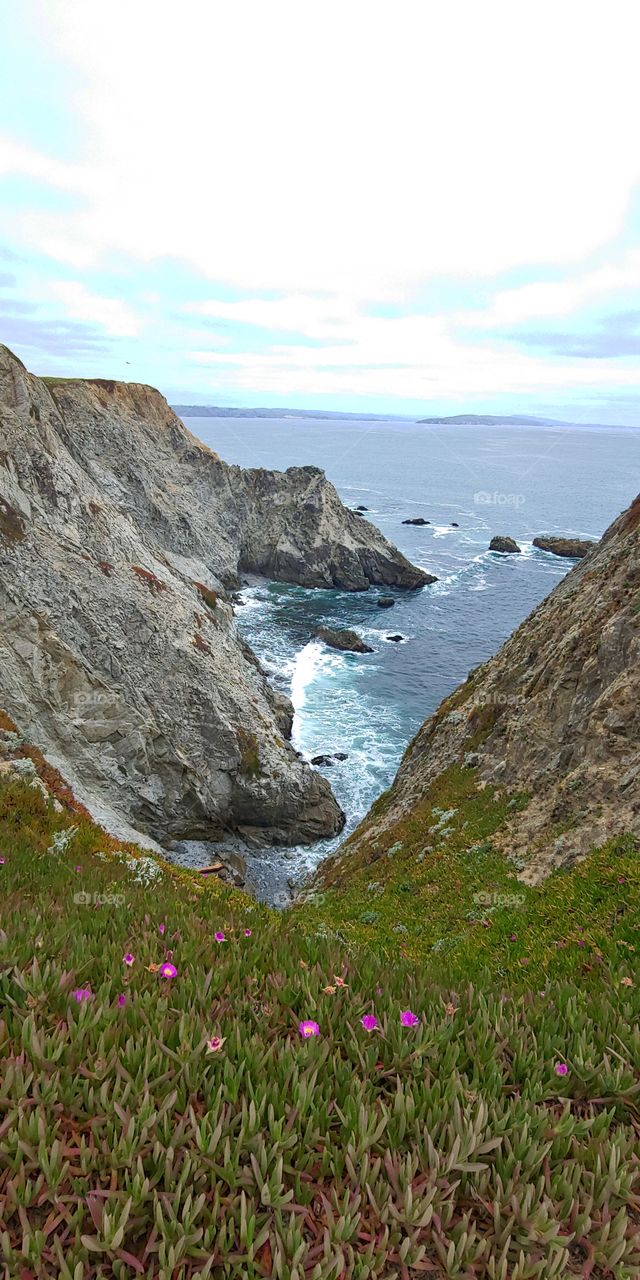 God's Amazing Creation. A Trip to Point Reyes California. Absolutely Serene Tranquils Earth Beauty. One of Best Hiking Trail Spots in Northern California.
