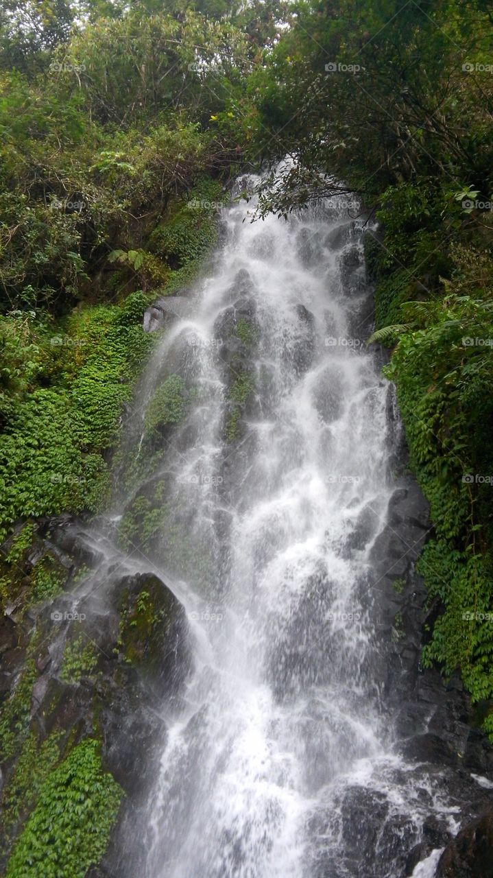 waterfall on a green hill