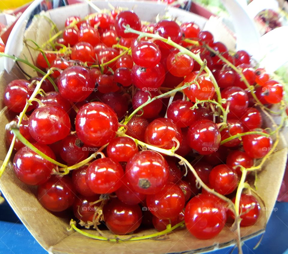 Berries Jean Talon Montreal