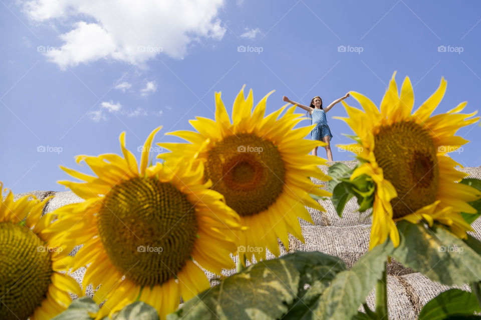 Cute 9 years old girl standing on top of hay bale with blooming sunflowers at the foreground. Living in harmony.