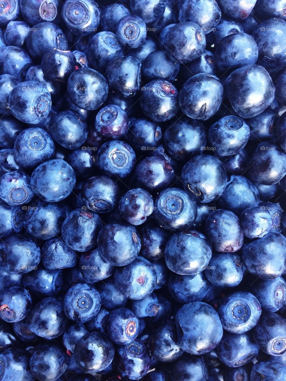 High angle view of blueberries