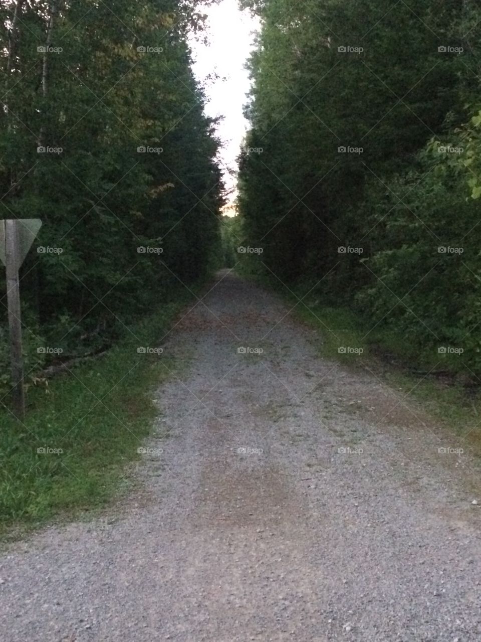 The trail that never ends!