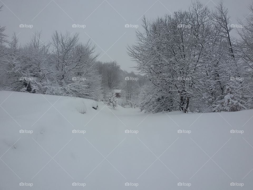 snow time, winter sports, snowy mountain, cold weather, winter landscape