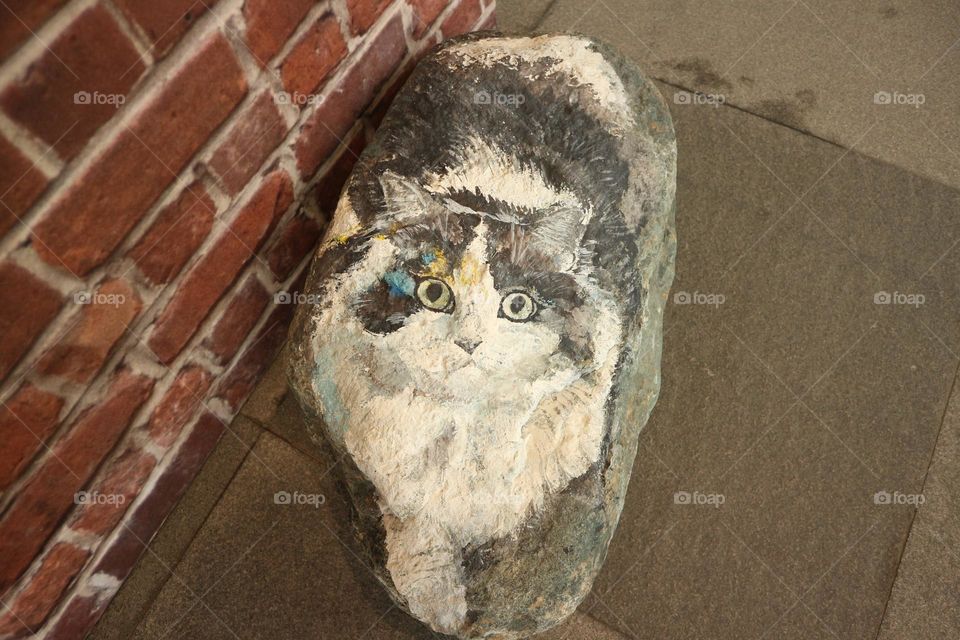 draw a cat on stone