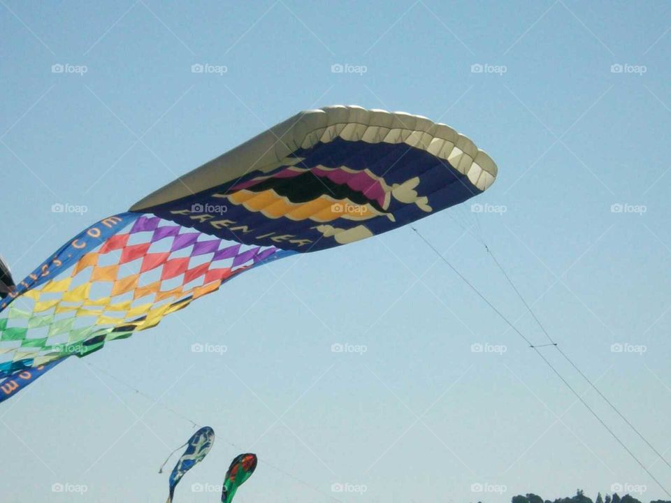 kites of many colors