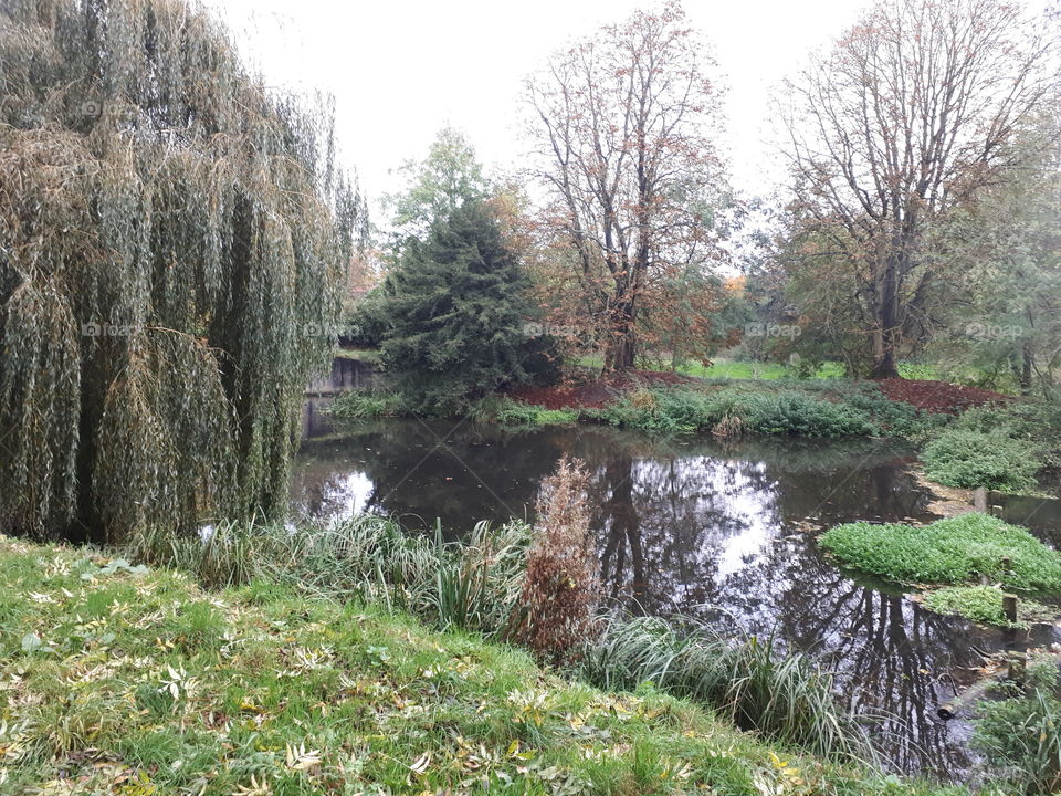 Nature, Tree, Landscape, Water, No Person