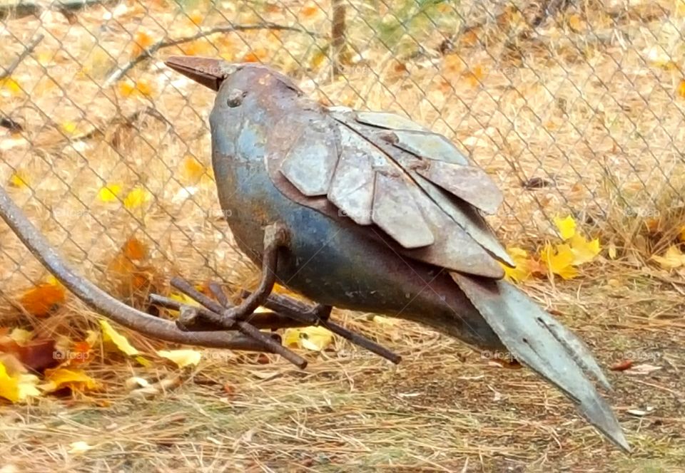 rusted bird