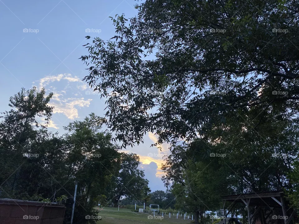 A beautiful view 