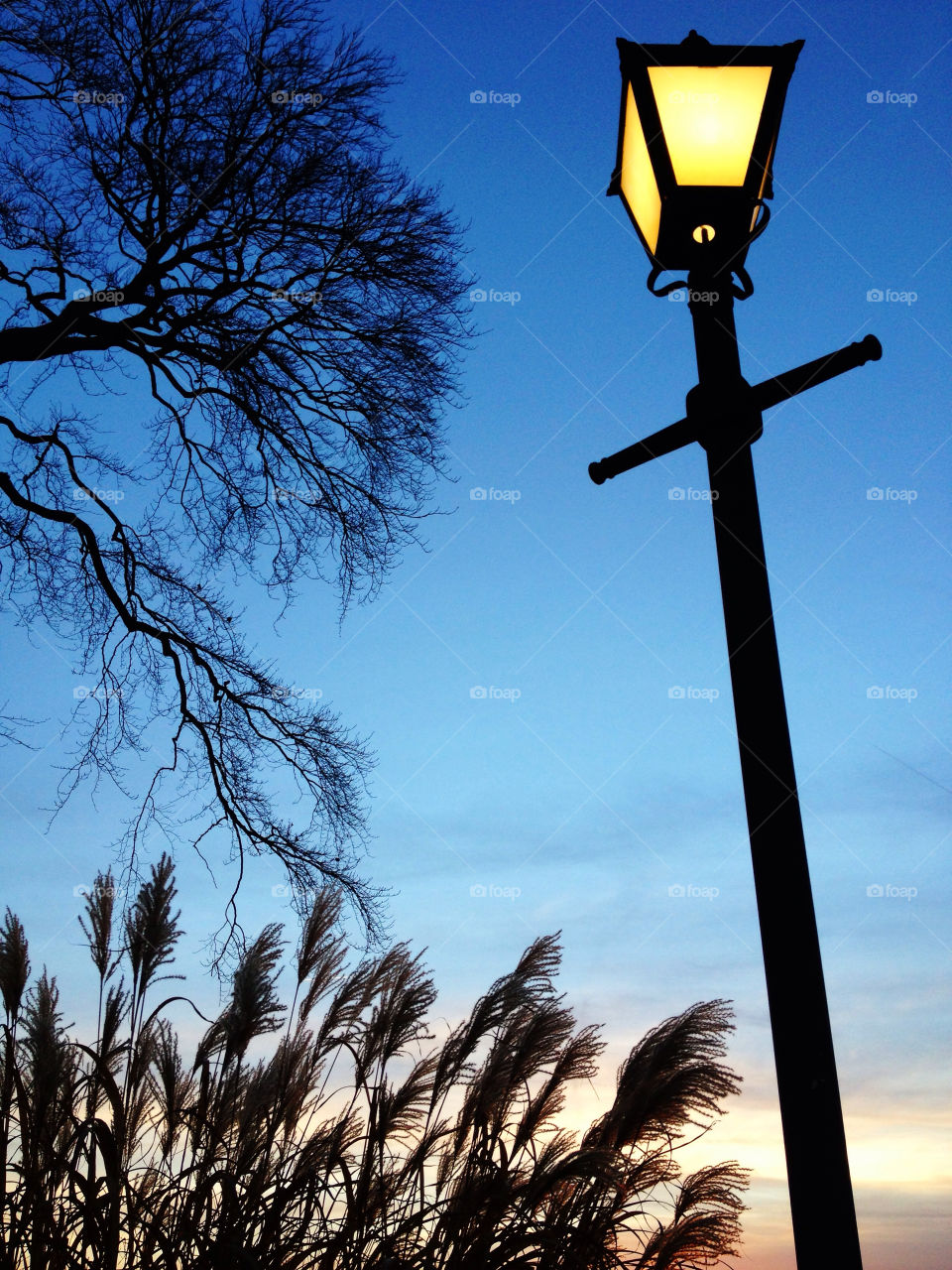 epsom surrey sky light tree by dannytwotaps