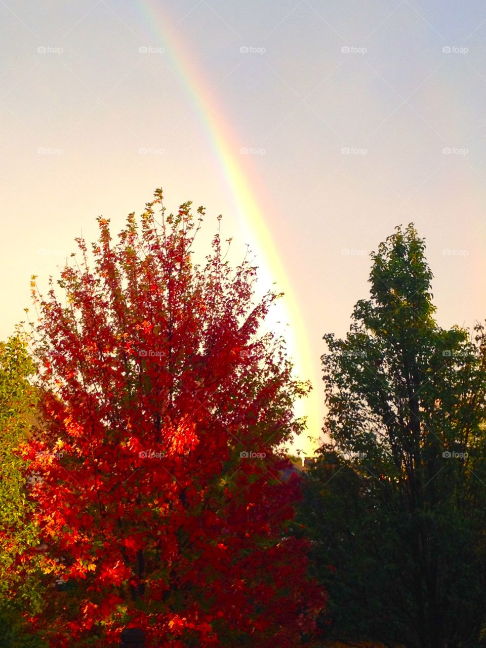 Autumn Rainbow