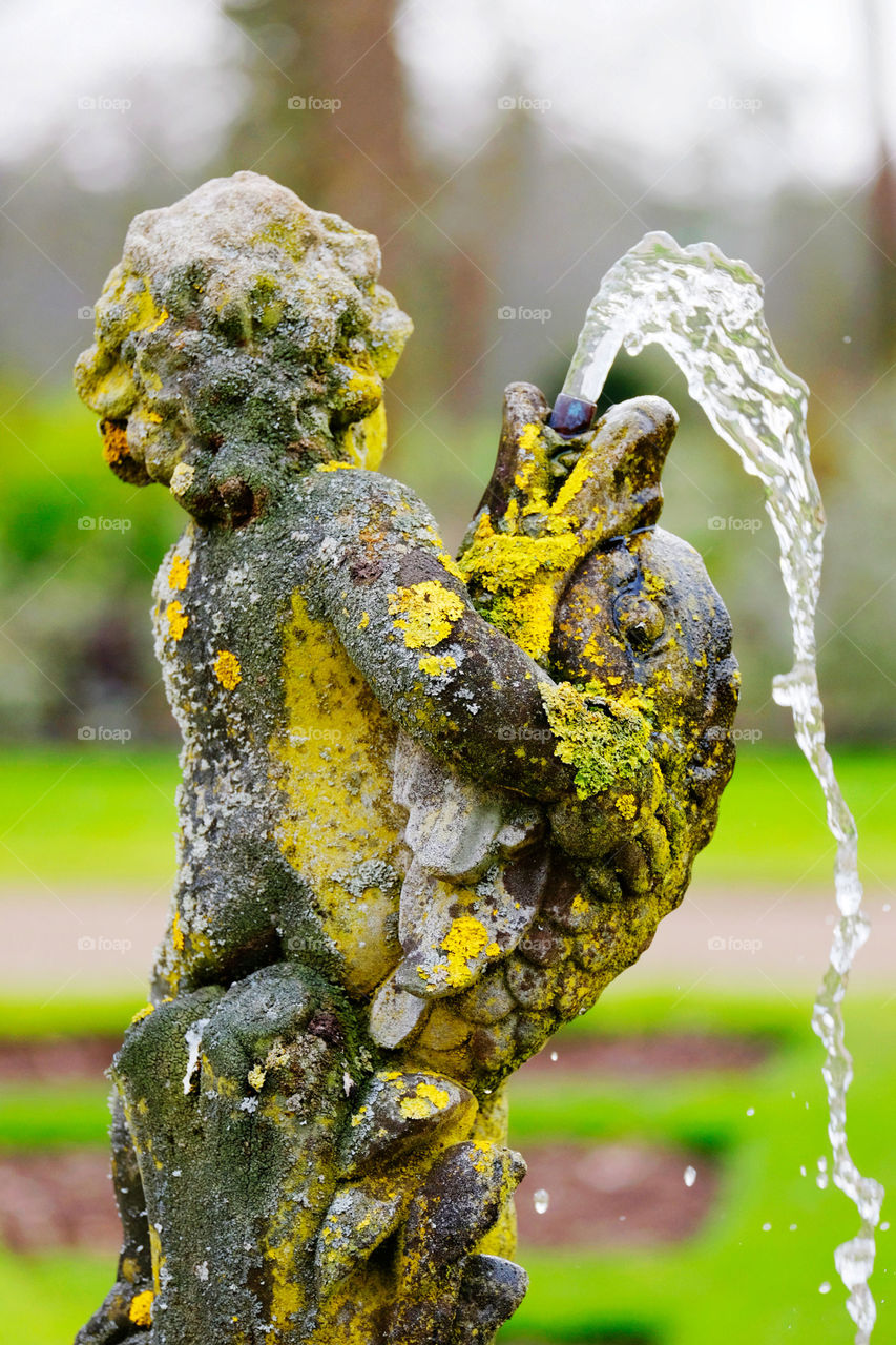 Fountain. Garden 