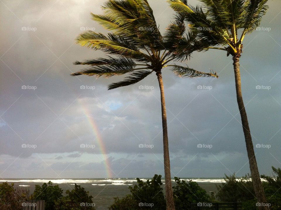 North Shore Rainbow