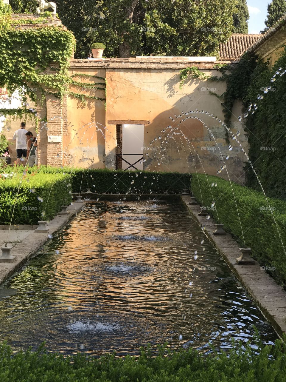 The Fountains of Alhambra 
