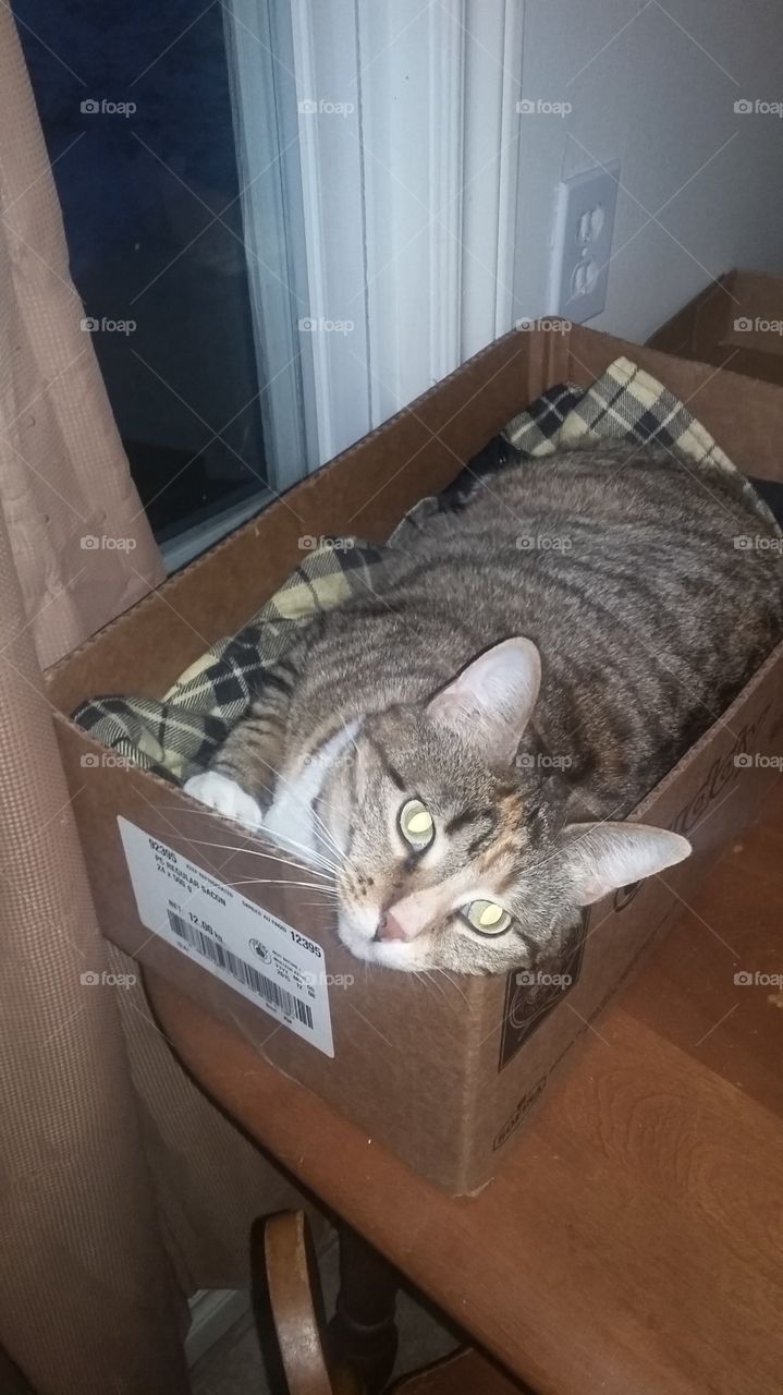 Si in a box
