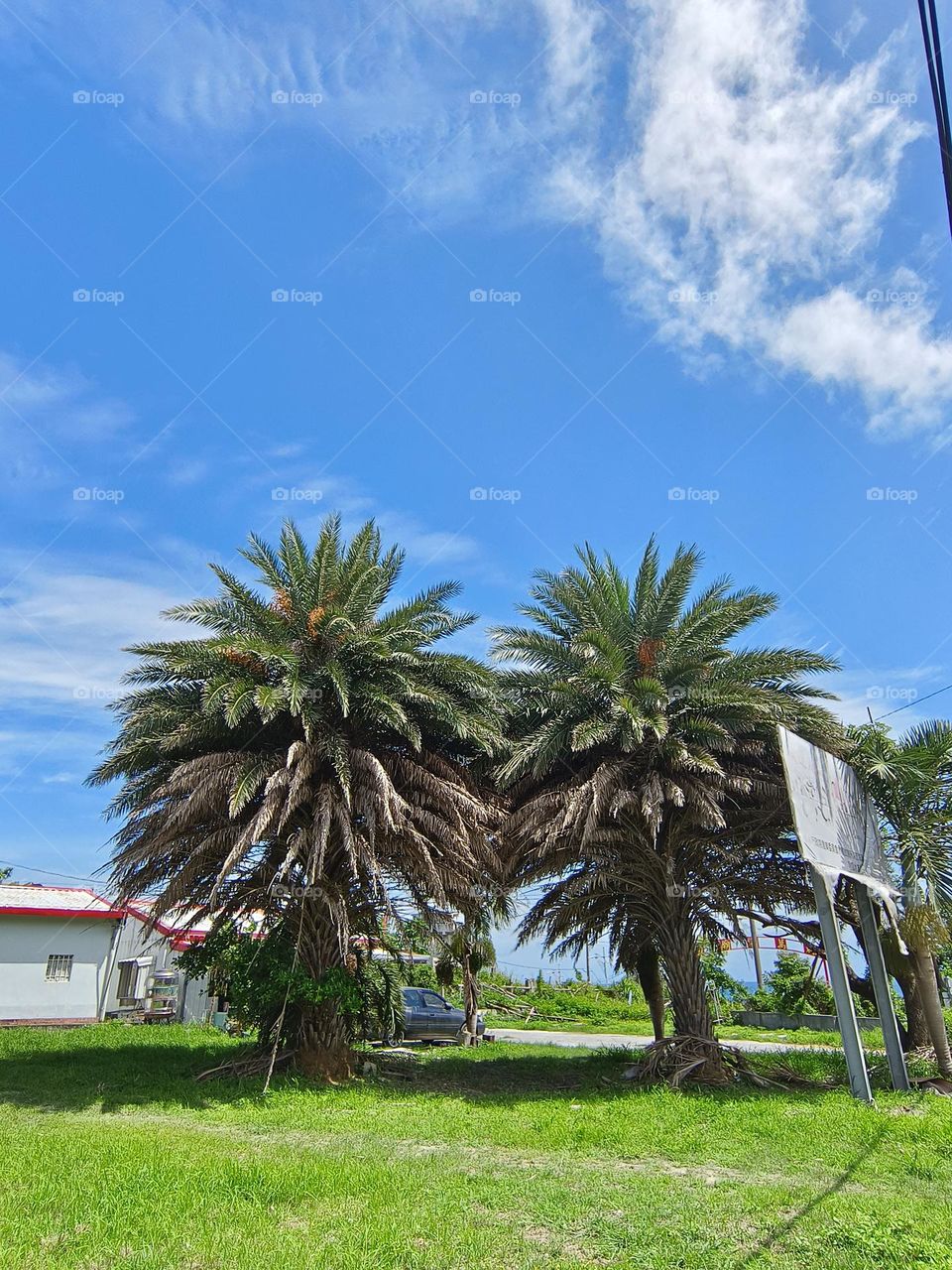 beautiful view of the city