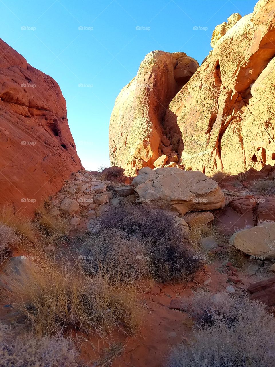 Valley of Fire
