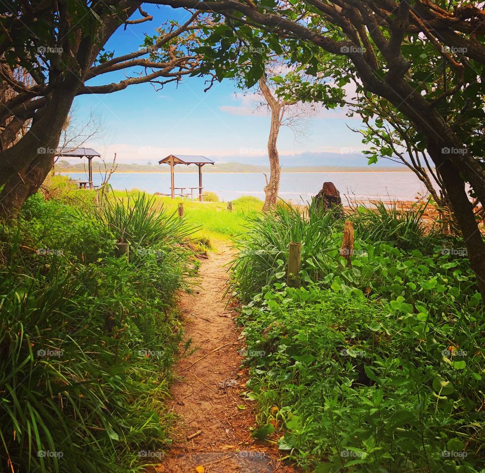 Path to the beach 