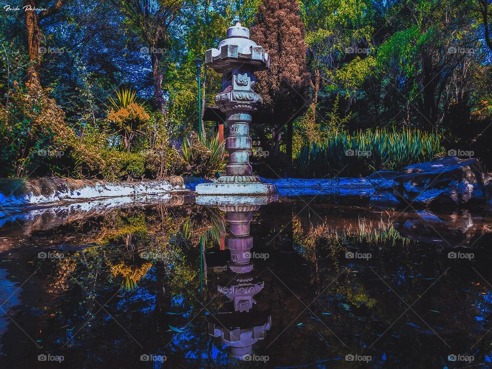 small japanese garden