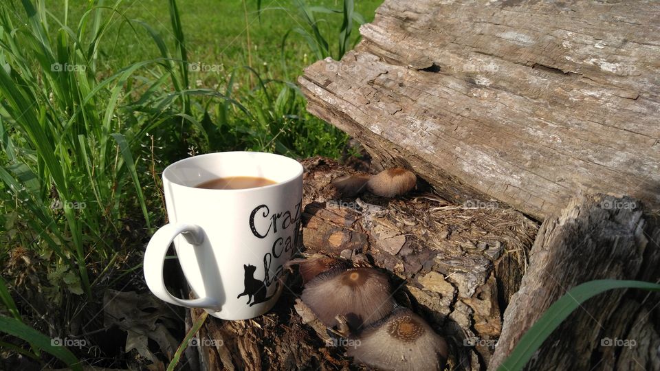 Morning Coffee with Nature