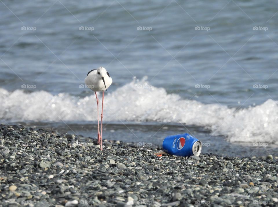 On the beach