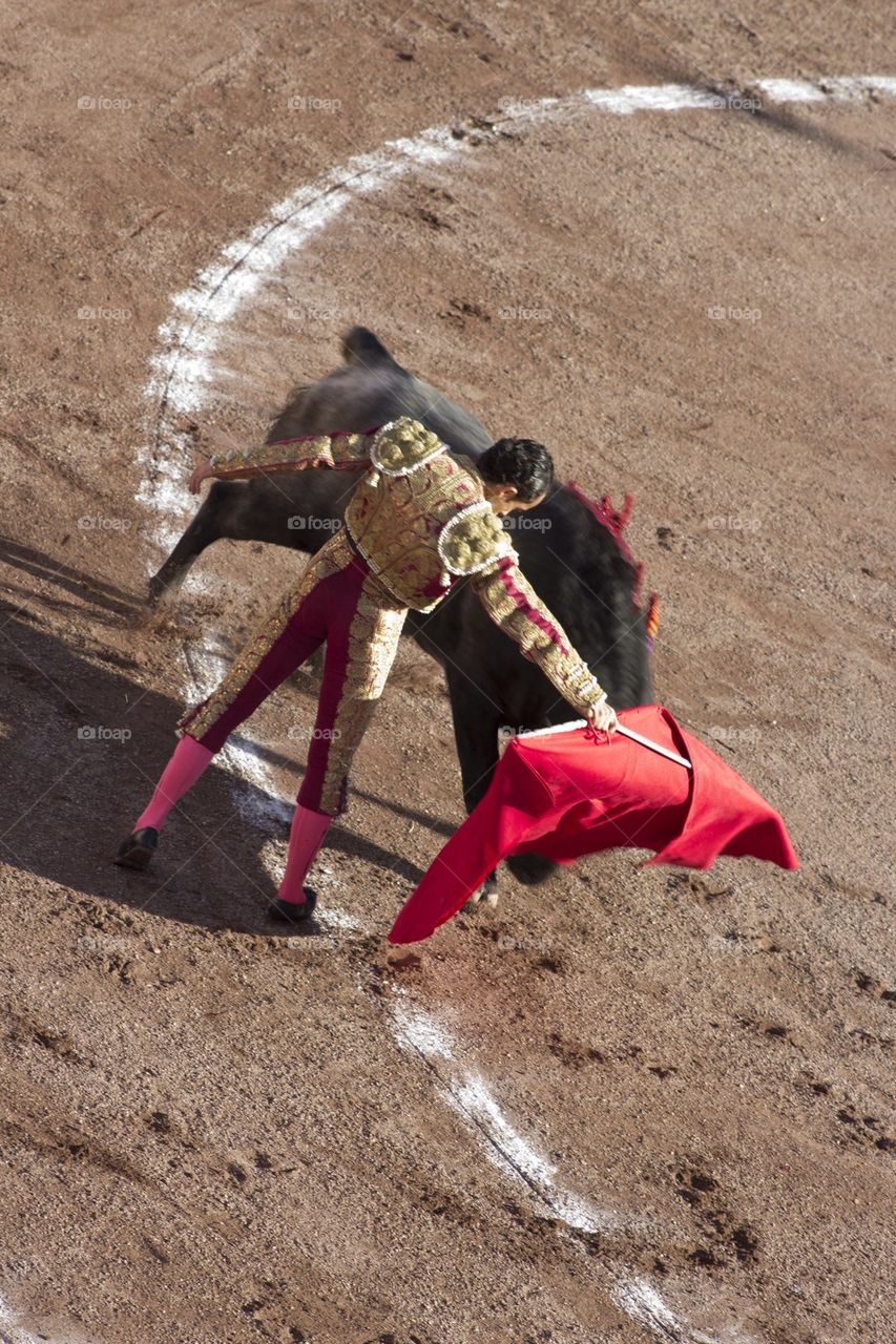 bullfighter