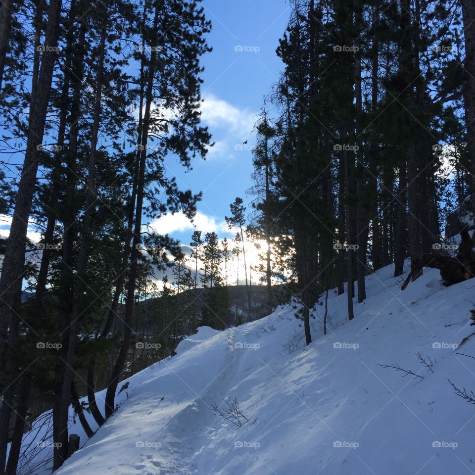 "The obsession with running is really an obsession with the potential for more and more life." George Sheehan