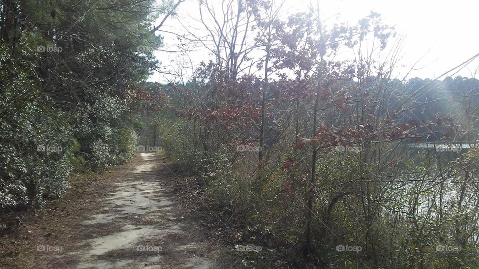 Hoffler Creek Main Trail