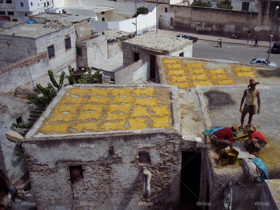  Morocco travel  : tannery