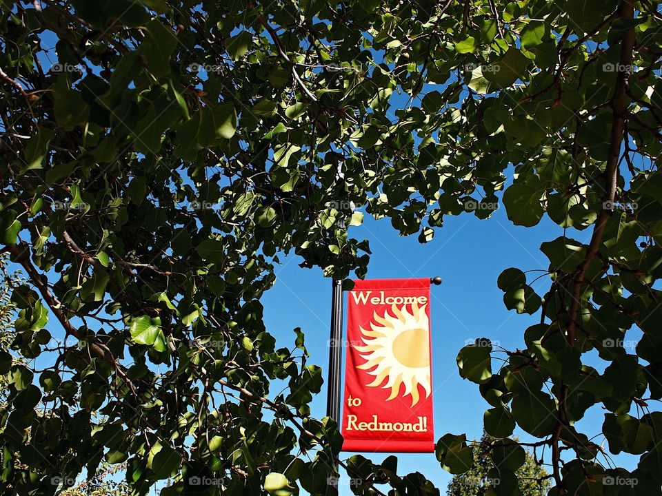 Sightseeing on summer vacation 