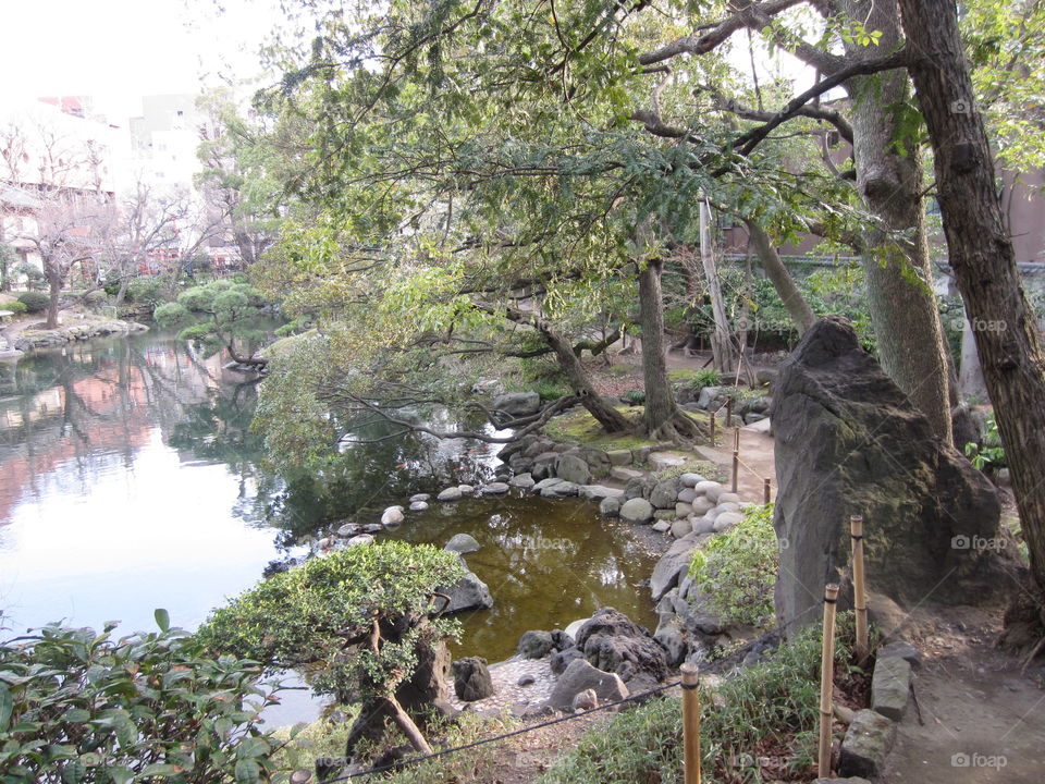 Water, Nature, Tree, Landscape, Wood