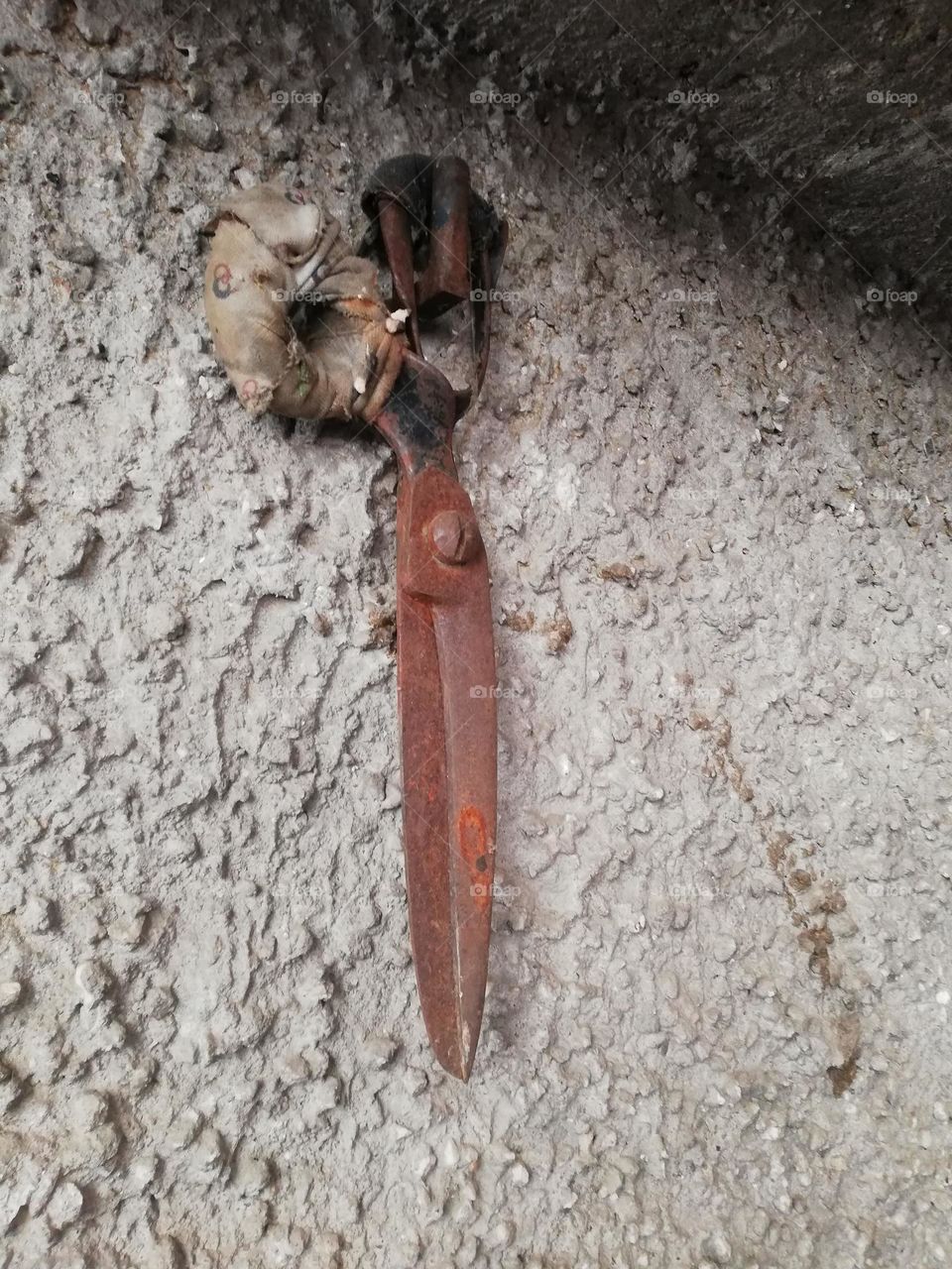 Old tailor's scissors.