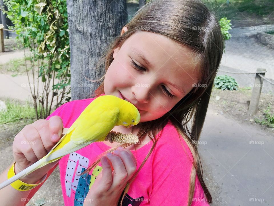 Darling photo of little girl in pink shirt admiring yellow bird on stick with food! 