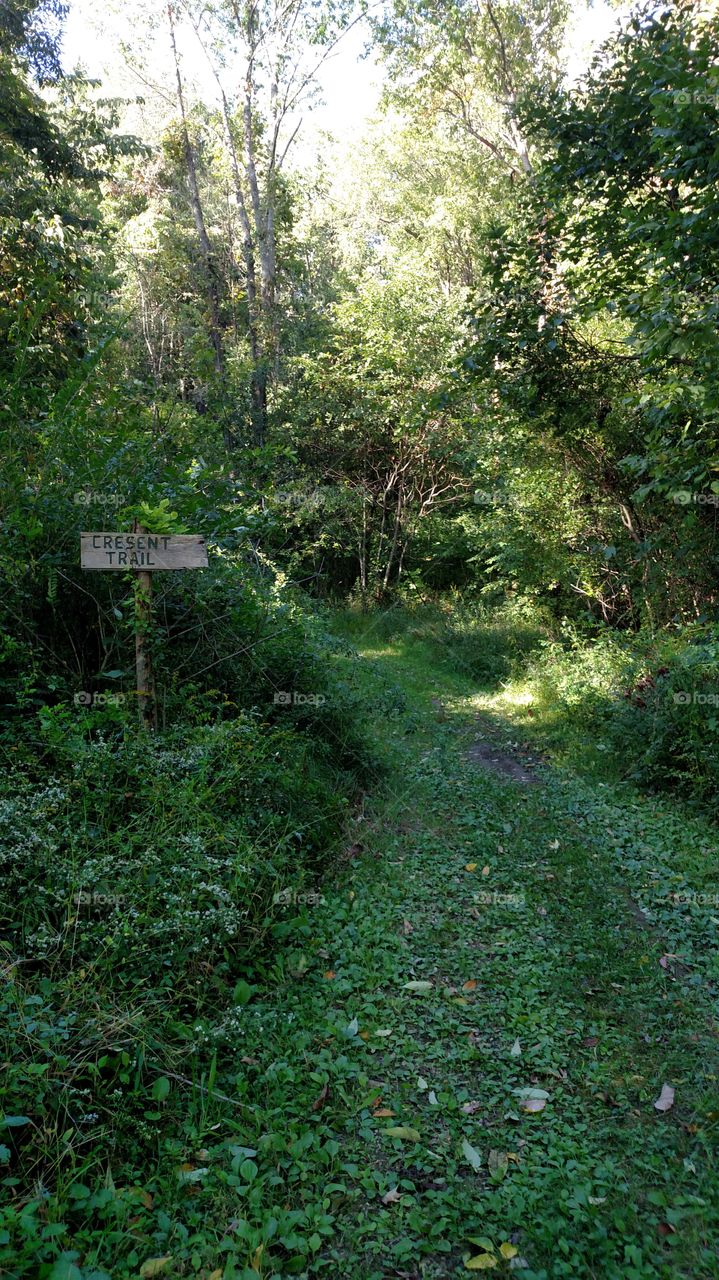 Cresent Trail