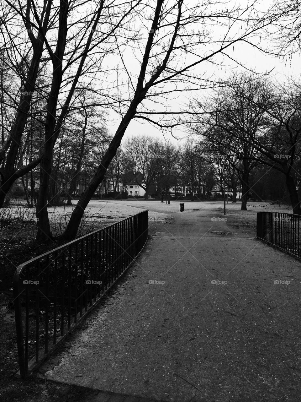 Black and White Park