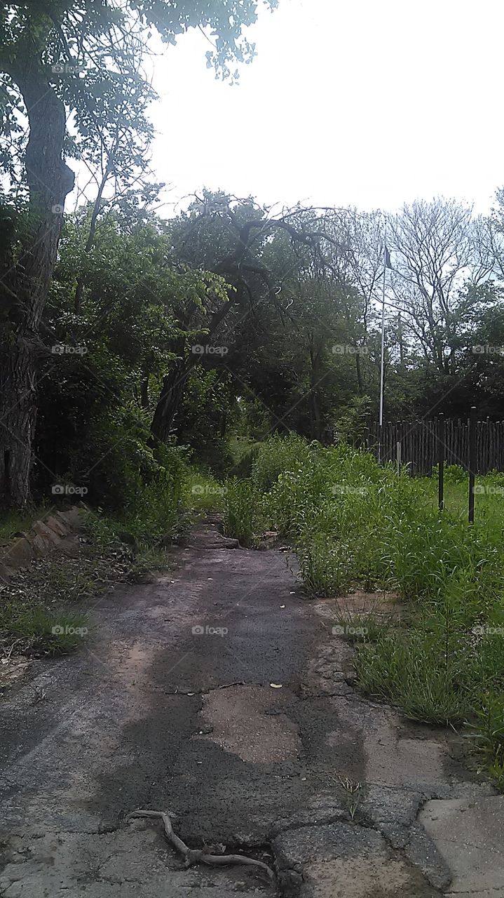 drain for street. this is a picture of a little creek that serves as a drain