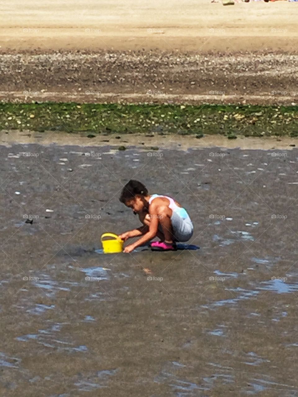 Young girl collecting shells at beach