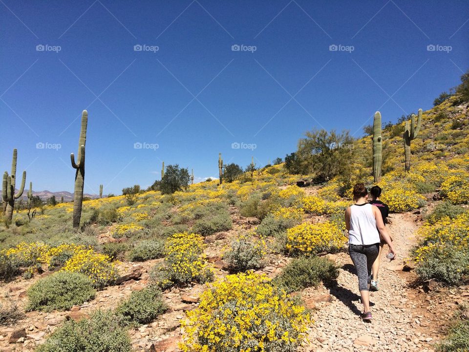 Hiking on a nice day