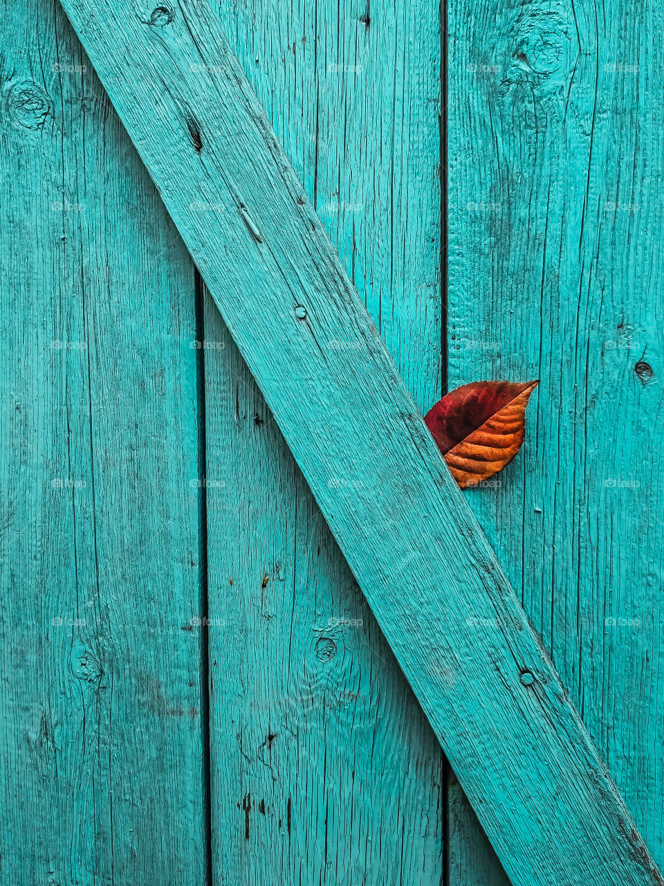 autumn leaf on wooden background