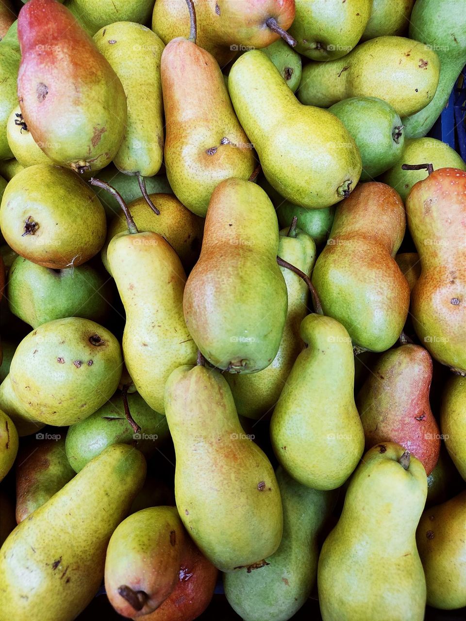 pears