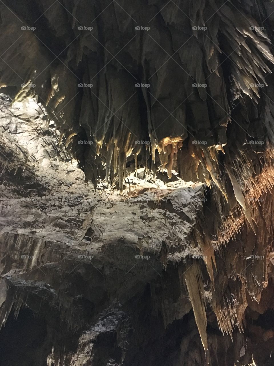 Ledenika cave stalactites