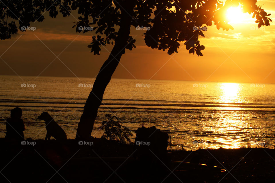 Silhouette of girl and dog sitting on beach